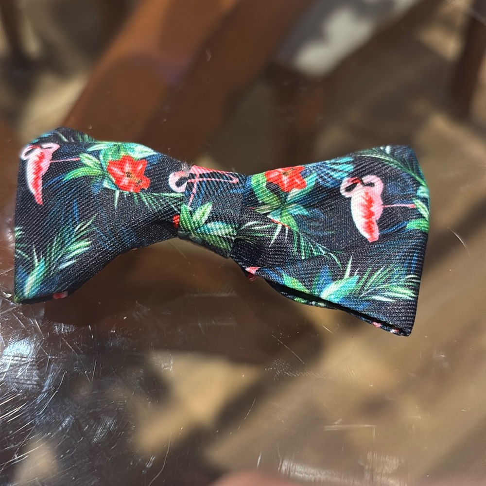 Dog or cat bow tie